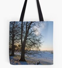 Britains Big Freeze-Snowy field at Dusk Tote Bag