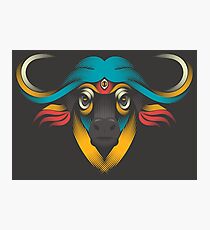 Buffalo Soul Photographic Print