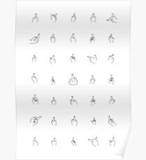 Schwarze Mittelfinger Poster