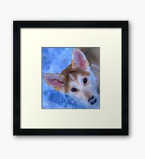 Timber Framed Print