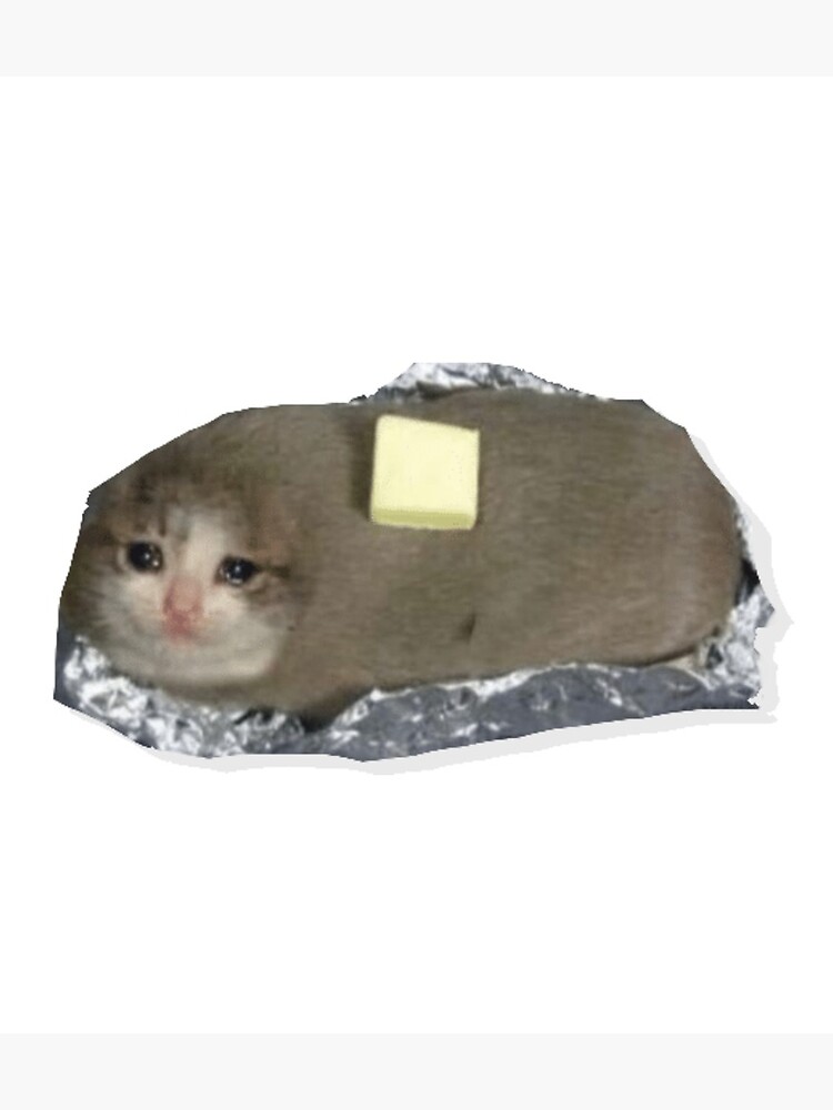 potato cat plush