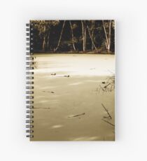 Mystifying Swamp Spiral Notebook