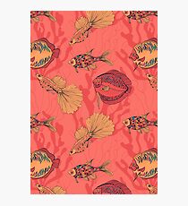 Fishes on living coral background Photographic Print