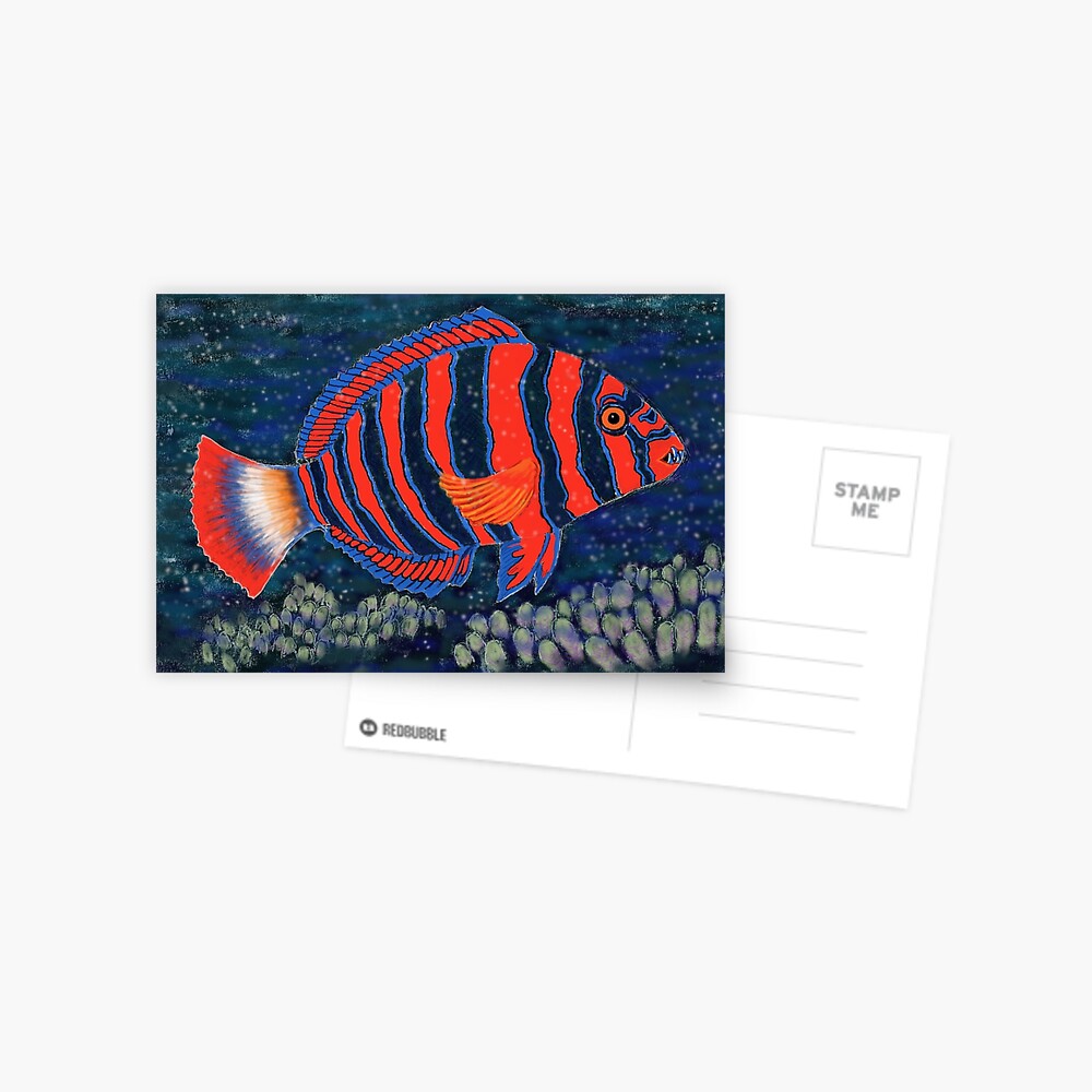 Postcards for the Reef 11: Harlequin Tuskfish Postcard