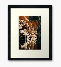 Ellery Creek Framed Print