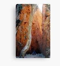 Standley Chasm Metal Print