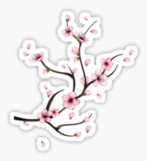 Cherry Blossom Sticker