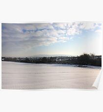 White world Poster