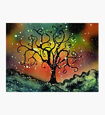 Tentacled Tree in Winter Photographic Print