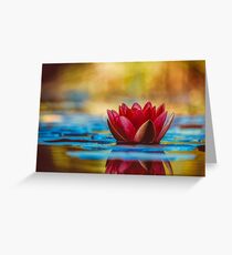 Water lilly Greeting Card