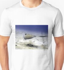 Sting Ray at Play Unisex T-Shirt
