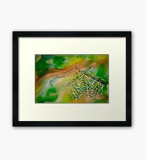 K2P2 with a Double String Framed Print