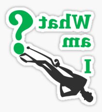 THE RIDDLER - WHAT AM I? Sticker