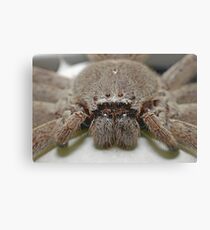 Huntsmen Nesting Canvas Print
