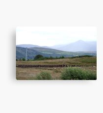 Cutting & Drying Turf in Kerry Canvas Print