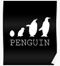 Penguin evolution Poster