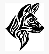 Lámina fotográfica Lobo pintado tribal