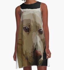 Max A-Line Dress