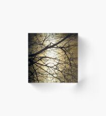 Sonnenlicht vom Mystiker Acrylblock