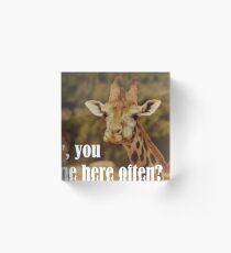 Hey, You Come Here Often Acrylic Block