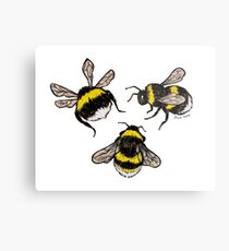 Bumblebees Metal Print