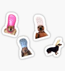 dogs with crocs Sticker