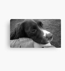 Baxter Canvas Print