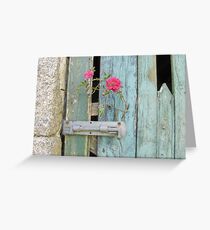 Cornish barn door with wild rose Greeting Card
