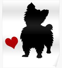 Yorkshire Terrier Poster