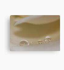 Pearls Canvas Print