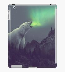 aurora iPad Case/Skin