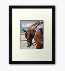 Warm Up Framed Print