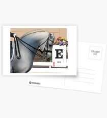 Lusitano Postcards
