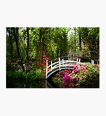 Magnolia Bridge No. 3, Charleston, SC Photographic Print