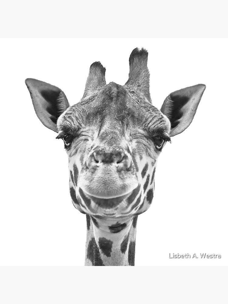 Hello There! by LisbethWestra