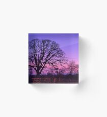 Oak tree and Full Moon Acrylic Block