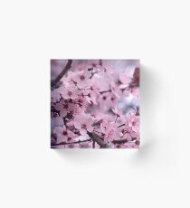 Plumb tree blossoms 2 Acrylic Block