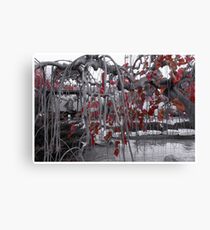Altree Canvas Print