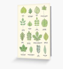 Leaf ID Chart Greeting Card
