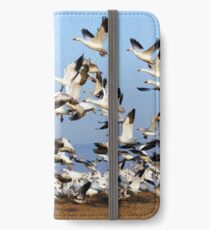 Snow Geese Take Flight iPhone Wallet/Case/Skin