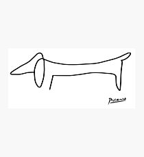 Dog by Picasso Photographic Print