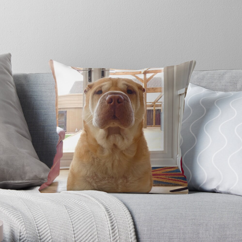 shar pei pillow