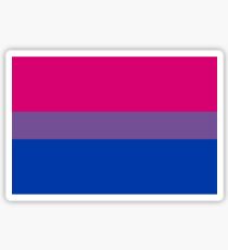Bisexual Flag Sticker