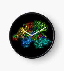 CRISPR Cas9 Clock