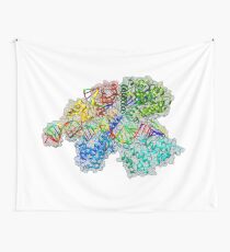 CRISPR Cas9 Wandbehang