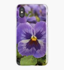 Blue Pansies iPhone Case