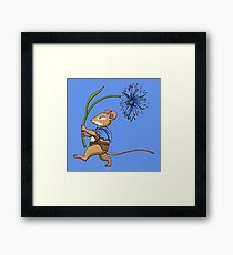 Cornflower Blue Framed Print