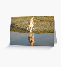 Mirror Image! Greeting Card