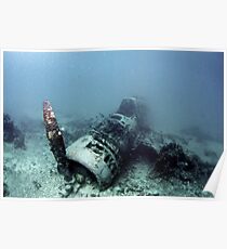 Fighter Planer Wreck Poster