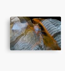 Translucent Canvas Print